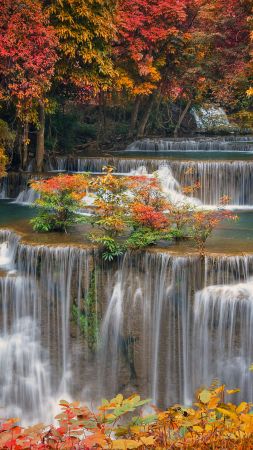 Bing, Windows 10, Microsoft, autumn, 5K (vertical)