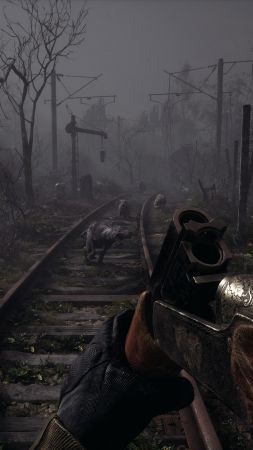 S.T.A.L.K.E.R. 2, screenshot, 4K (vertical)