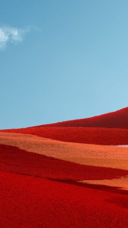 Windows 11, Microsoft, 4K (vertical)