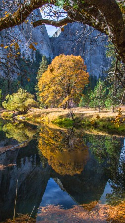Yosemite, 5k, 4k wallpaper, 8k, forest, OSX, apple, mountains (vertical)