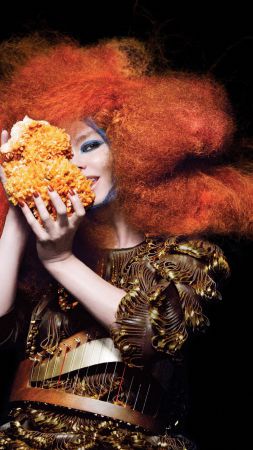 Bjork, Most Popular Celebs, singer, actress (vertical)