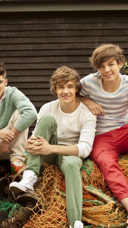 One Direction, Top music artist and bands, Liam Payne, Niall Horan, Louis Tomlinson, Harry Styles, Zayn Malik (vertical)