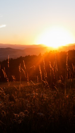 Auvergne, 5k, 4k wallpaper, France, mountains, sunset, meadows (vertical)