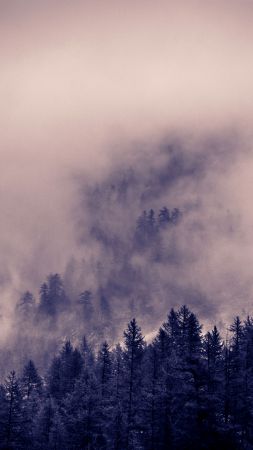 Alps, 5k, 4k wallpaper, 8k, Clouds, forest, pines (vertical)