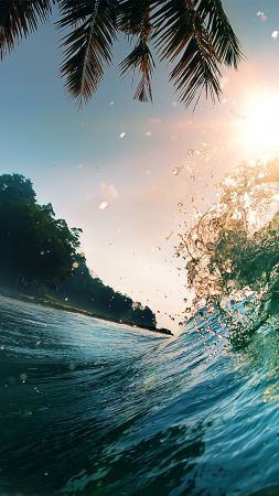 Wave, 5k, 4k wallpaper, 8k, ocean, palms, sun (vertical)