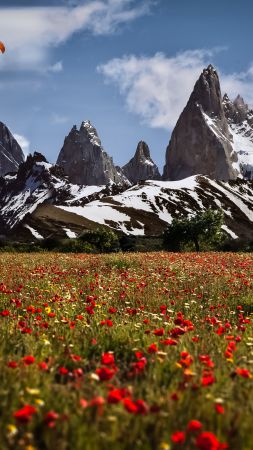 Uetliberg, 5k, 4k wallpaper, Switzerland, Mountains, meadows, poppy (vertical)