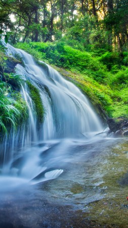 forest, 5k, 4k wallpaper, 8k, rocks trees, plants, waterfall, river (vertical)