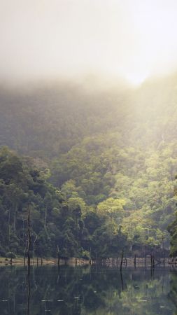 Thailand, 4k, 5k wallpaper, 8k, mountains, mist, river (vertical)