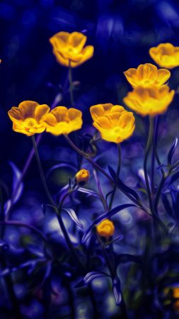 Buttercups, 4k, 5k wallpaper, flowers, yellow, purple (vertical)