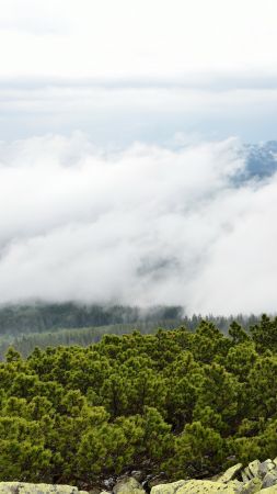 Ukraine, 5k, 4k wallpaper, Transcarpathia, clouds, mountains, bushes, rocks (vertical)