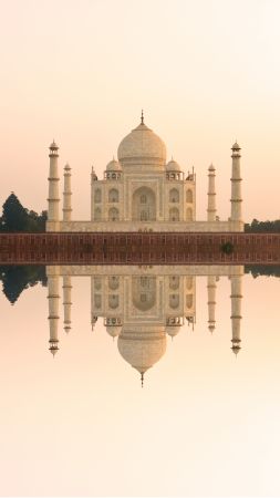 Taj Mahal, India, temple, castle, travel, tourism (vertical)
