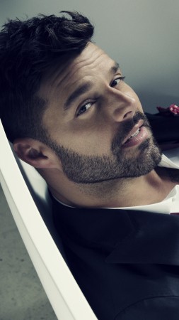 Ricky Martin, Top music artist and bands, singer (vertical)