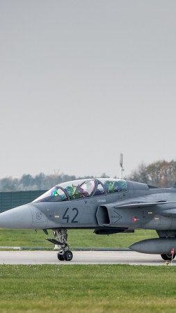 JAS 39D Gripen, fighter, Swedish army (vertical)