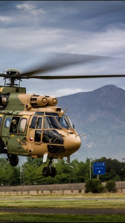 AS 532AL Cougar, military transport helicopter, French Air Force (vertical)
