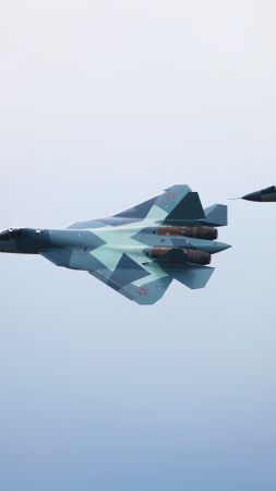 Sukhoi T-50, Mig-29m2, Russian army, red star, fighter aircraft, air force (vertical)