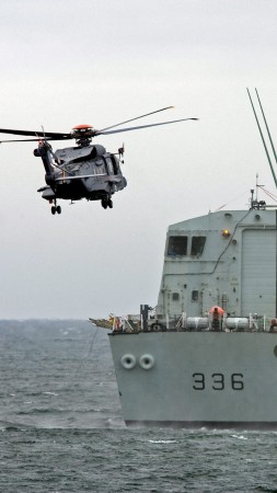 Sikorsky CH-148 Cyclone, AgustaWestland, attack helicopter, British Army, Britain (vertical)