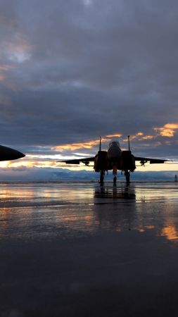 McDonnell Douglas F-15 Eagle, fighter aircraft, U.S. Air Force (vertical)