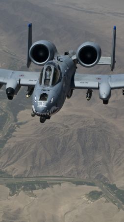 A-10 Thunderbolt II, US Army, U.S. Air Force, aircraft (vertical)