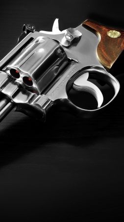 Smith and Wesson, S&W, 629-4, 8 3/8, 44 Magnum (vertical)