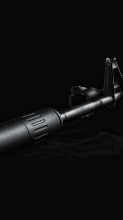 Ar-15 Assault Rifle (vertical)