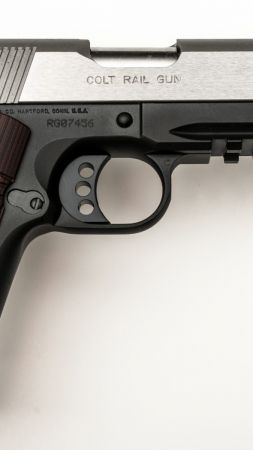 Colt, Rail Gun, 22lr (vertical)