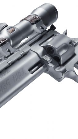 Taurus Raging Bull, Aim, 44 Remington Magnum. (vertical)