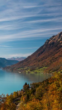 mountains, 4k, 5k wallpaper, 8k, water, lake, forest (vertical)