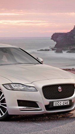 Jaguar XF Portfolio, sedan, grey (vertical)