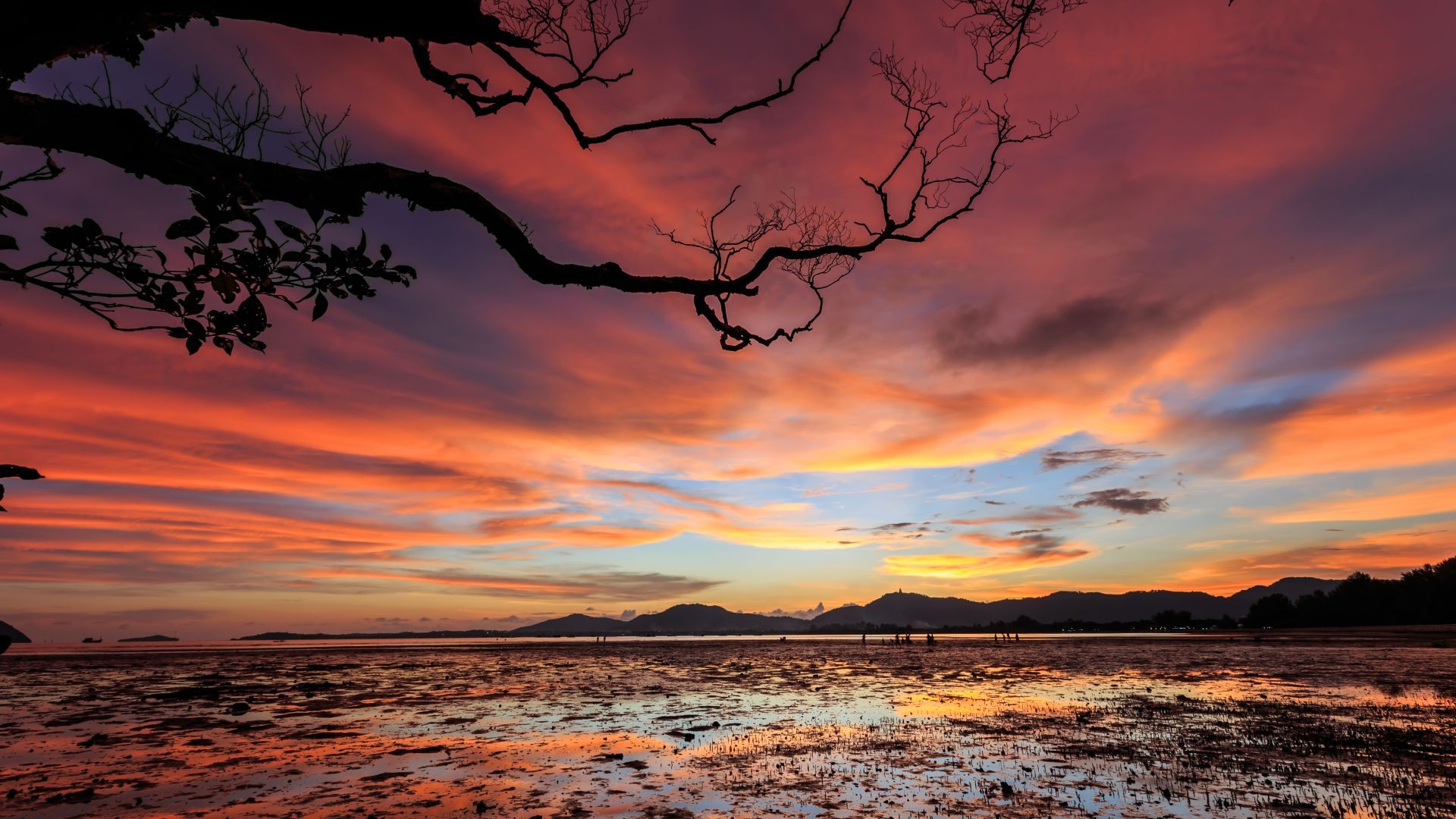 Sunset Wallpapers