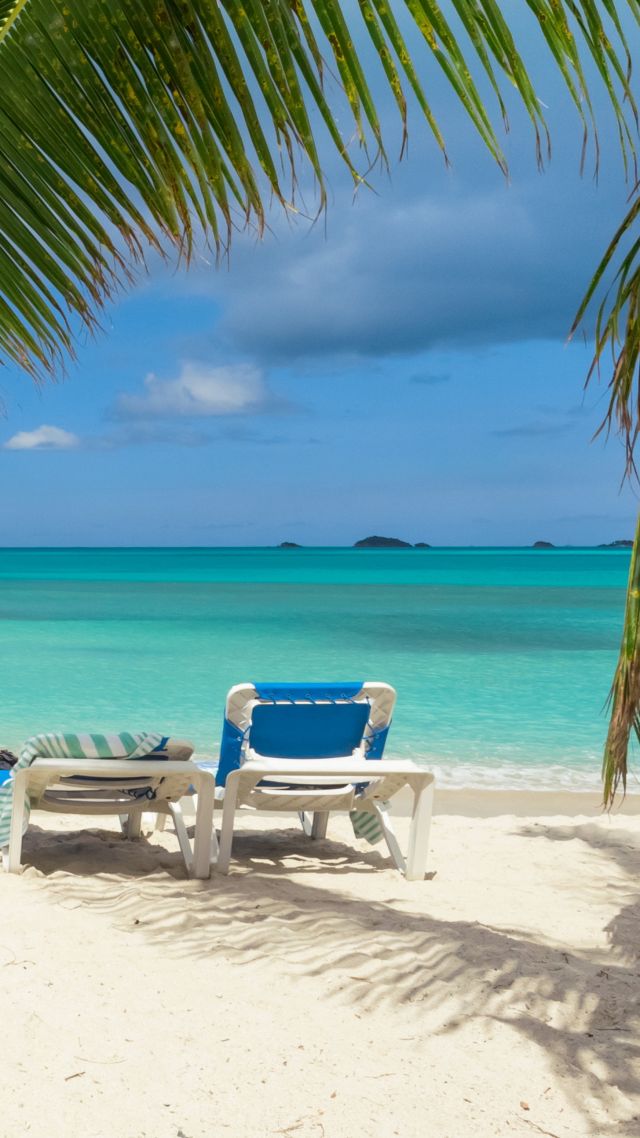 Thailand, beach, sea, shore, sand, palms, travel, tourism (vertical)